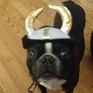 Meet your Posher, Carolea